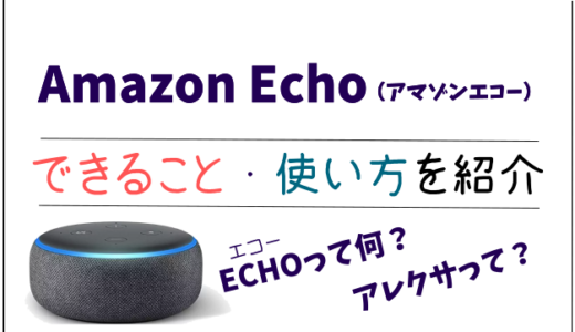 Amazon Echo の記事一覧 ダンボールハイ